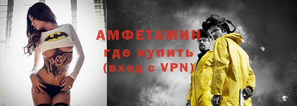 стаф Алзамай