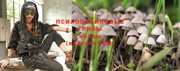бошки Алексеевка