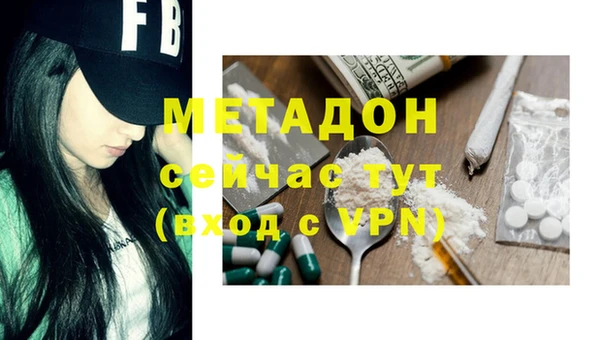 стаф Алзамай