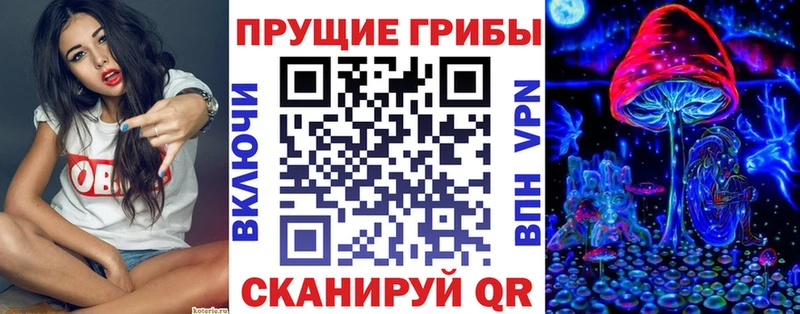 Галлюциногенные грибы Magic Shrooms  hydra маркетплейс  Бакал 