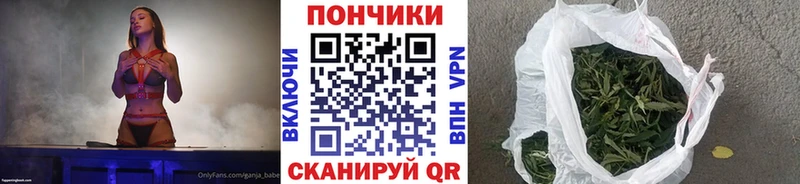 Шишки марихуана планчик  Бакал 